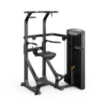 Matrix Fitness VERSA CHIN / DIP ASSIST | Equipo de Fuerza
